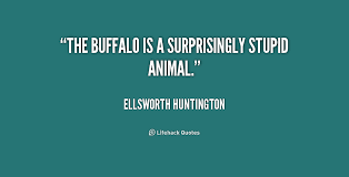 Hand picked eleven famed quotes about buffalo images Hindi ... via Relatably.com