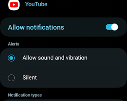 Image of Samsung Galaxy S25 notification settings page, showing notification categories