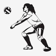 Hasil gambar untuk volly ball