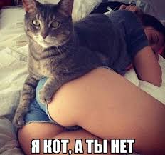 images?q=tbn:ANd9GcSJAwpZjYkeT0IU_15Dj11Re7R22q9OeTVaeD0Y8qBB2ayDLf5w