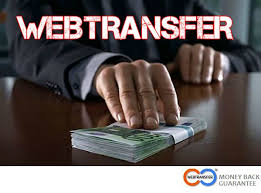 Resultado de imagen de webtransfer finance