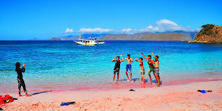 Tempat Wisata Di NTT Pantai Merah Muda di labuan bajo