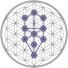 Bildergebnis für tree of life