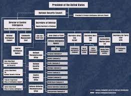 Image result for Millitary Intelligence Org