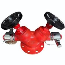 ExoFire Double Head Hydrant Valve CI Body with Working GM ...