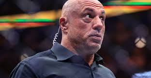 Joe Rogan warns UFC’s talent-starved Heavyweight division that Gable Steveson is coming - ‘Everyone’s f—ked’