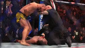 Brasileiros sobem no ranking do UFC após vitórias no primeiro evento numerado do ano