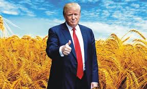 Bildergebnis für Трамп  Украине