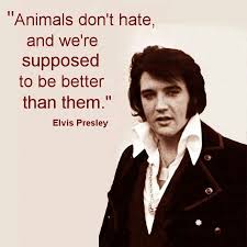 elvis quote about animals | Celebrity Quotes | Pinterest | Elvis ... via Relatably.com