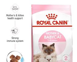 Royal Canin Mother & Babycat dry cat food in its original packagingの画像