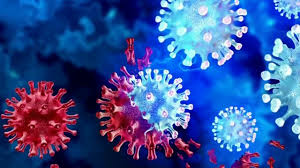 Cigarra, nueva variante del COVID llega a 25 estados mientras los CDC vigilan su propagación