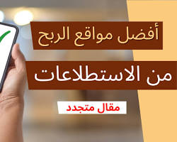 الربح من الاستطلاعات