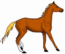 Image result for HORSE