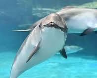 おたる水族館の画像