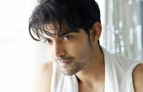 Hasil gambar untuk gurmeet choudhary