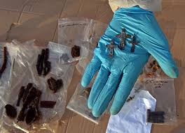 Résultat de recherche d'images pour "nazi mass grave"