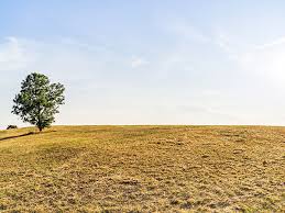 2/28/26: Clear Sky and Pleasant Evening at 70.7 After High of 74.7