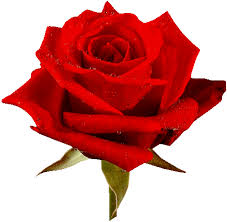 Rsultat de recherche d'images pour 