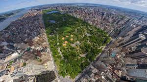 Image result for central park