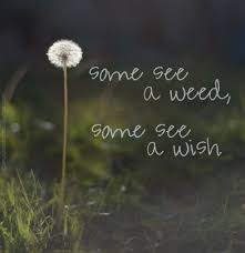 Some see a weed, some see a wish quotes | quilts | Pinterest ... via Relatably.com