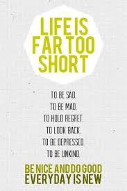 Life Is Not Too Short Quotes via Relatably.com