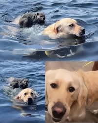 קבלו עוד סיפור אמיתי לגמרי, בדיוק מהסוג של הספורים האלה ...