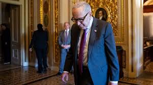 Babin Critiques Schumer's Shutdown in Newsmax Op-Ed