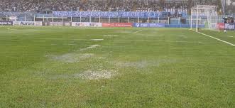 Gramado pode ser um adversário a mais para o Papão | Carlos Ferreira | O Liberal