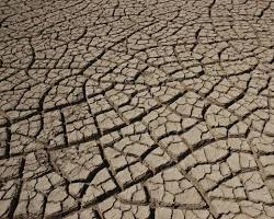 Crack patterns in nature