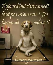 Résultat de recherche d'images pour "gif bon samedi humour"