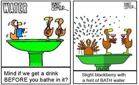 Funny Water Quotes. QuotesGram via Relatably.com