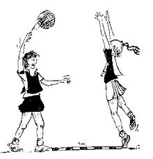 Image result for netball