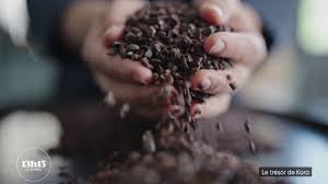 le tresor de kora - Trending in France