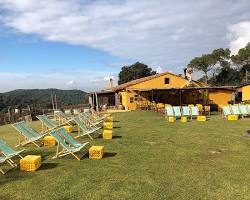 Imagen de Calçots, La Roca del Vallès