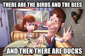 Image result for birds and bees meme