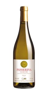 Image result for Passerina