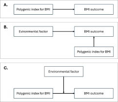 Gene-environment interplay explaining individual variation in BMI outcomes: a systematic review and meta-analysis of studies using polygenic indices