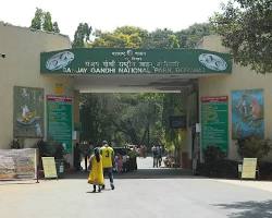 Image of Sanjay Gandhi National Park Mumbai