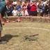 Croc racing to surpass Melb Cup in future