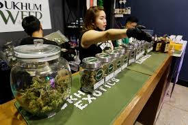 From Legalisation to Limbo: Thailand’s Turbulent Cannabis Industry