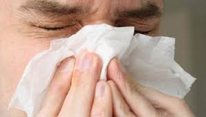 លទ្ធផល​រូបភាព​សម្រាប់ HIDUNG MELER