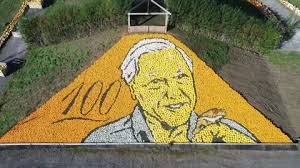 Video shows world's largest pumpkin mosaic honouring Attenborough | 'It was a challenging task' | Inshorts - Inshorts