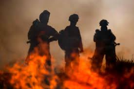 Adolescente ateou fogos durante as visitas à avó em Carrazeda de Ansiães