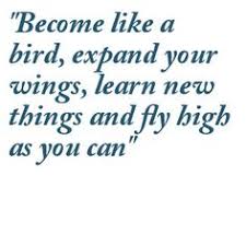 Bird Quotes on Pinterest | Birds, The Notebook and Charlotte ... via Relatably.com