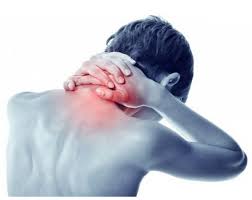 Resultado de imagen para antiinflamatorios