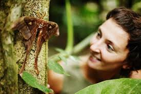 Daintree Eco Lodge &amp; Spa - 11773916