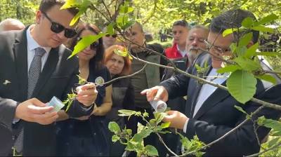 Sinop'ta 850 adet avcı böcek doğaya salındı İhlas Haber Ajansı