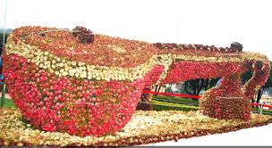 Image result for ooty botanical garden flower show 2015
