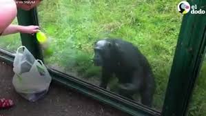 REALIDAD | Street journalists | Facebook