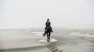 Nederland heeft een nieuw Nationaal Park: Hollandse Duinen